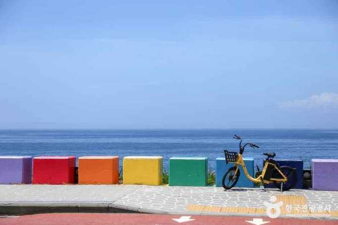 제주 무지개해안도로: 색채와 자연이 어우러진 명소 안내