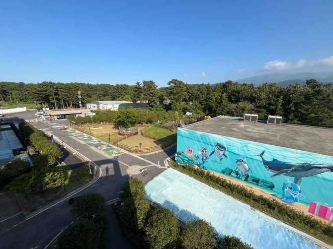제주 여행 기념품 가게, 이상한선물가게앨리스 소개와 방문 정보