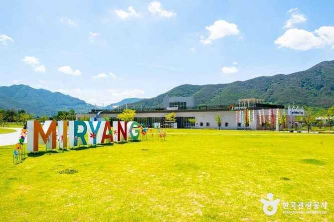 밀양 요가컬처타운: 힐링과 웰니스 체험이 가능한 명소 안내