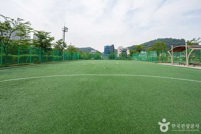 남양체육공원 가볼 만한 도심 속 자연친화 체육공원 안내