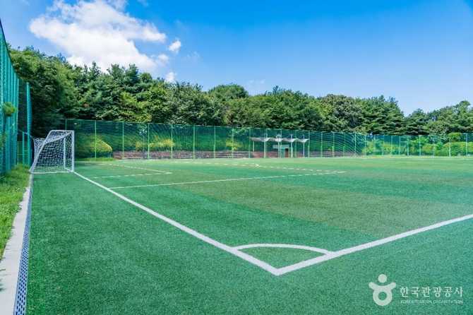 경기도 화성시 하길체육공원 안내 및 이용 정보