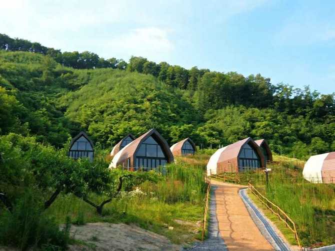 제천 오차드블리스 글램핑 숙소, 자연 속 프라이빗 휴식 추천 1