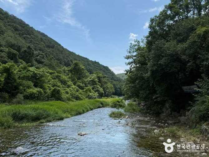 강원도 횡성 어답산관광지 가이드: 자연경관과 체험활동 모두 즐기기