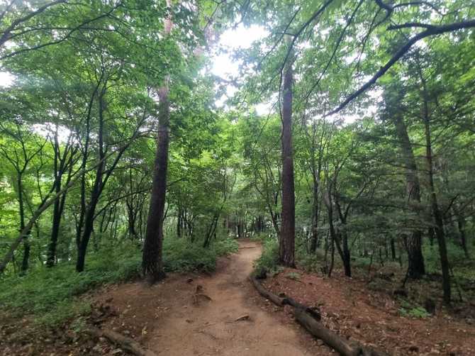 서울둘레길 17코스 북한산 은평구역 가이드 및 여행 정보 2
