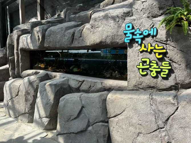 서울 노원구 불암산나비정원 방문 가이드 및 체험 정보 2