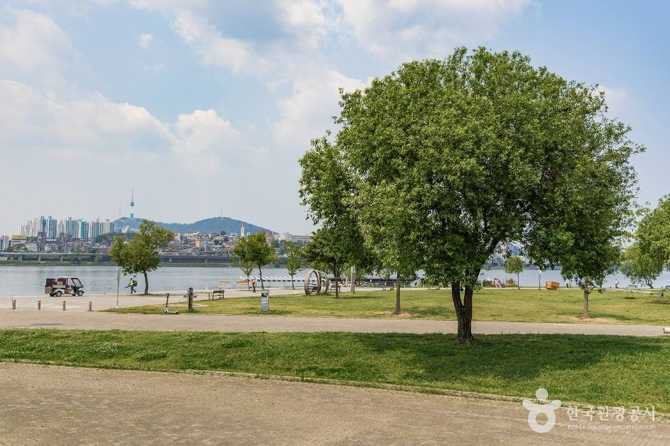 Discover Banpo Hangang Park - image 2