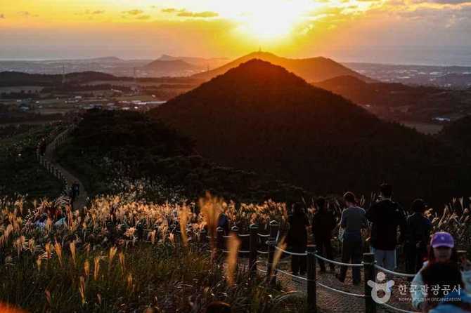 제주 새별오름 가이드: 자연 풍경과 여행 정보 한눈에 2