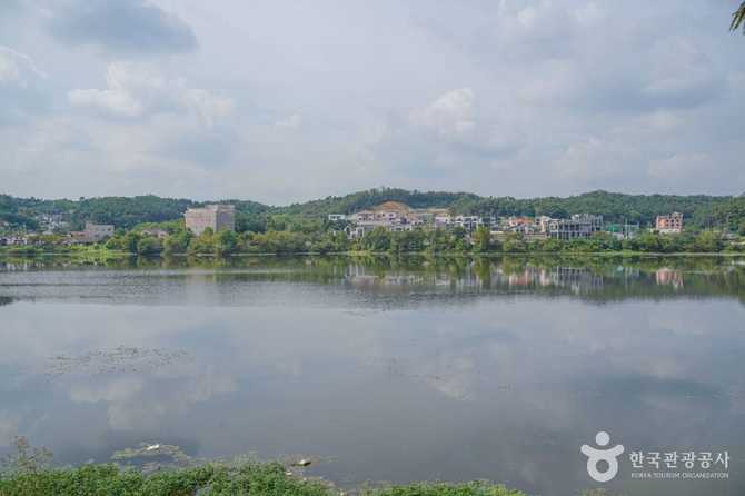 경기도 안성 칠곡호수공원 가볼 만한 명소와 최신 정보 2