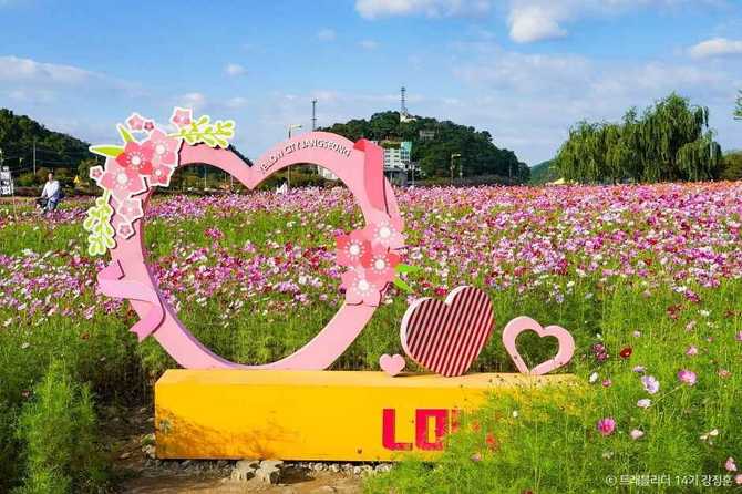 황룡강 생태공원: 자연과 꽃이 어우러진 친환경 명소 소개 2