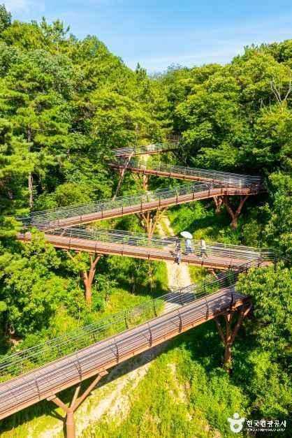 Discover Mugyung's Yongduusan Ecological - image 4