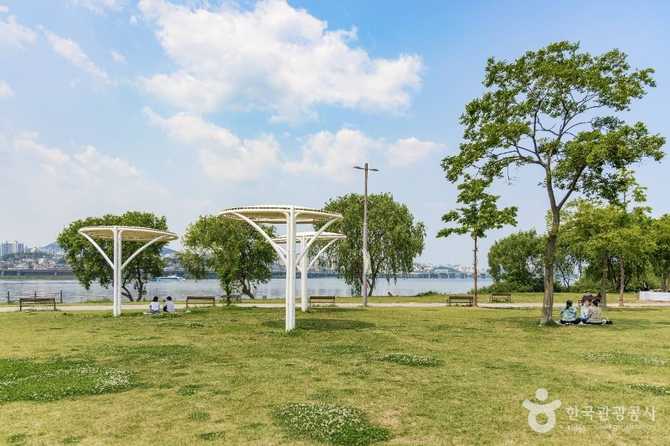Discover Banpo Hangang Park - image 1