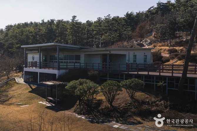 화성시 우리꽃식물원 가볼 만한 곳, 사계절 식물 관람과 체험 프로그램 추천 3