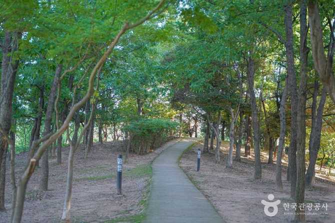 김해 수릉원: 가야왕 수로왕과 허왕후의 역사와 자연을 만나는 생태공원 3