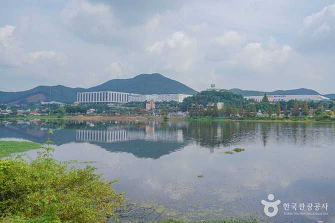 경기도 안성 칠곡호수공원 가볼 만한 명소와 최신 정보 3