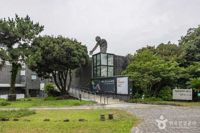 제주현대미술관 소개와 방문 정보 | 제주 문화예술의 중심지 4