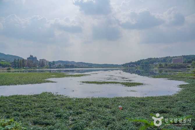 경기도 안성 칠곡호수공원 가볼 만한 명소와 최신 정보 4