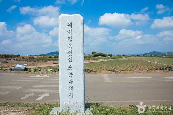 제주 알뜨르비행장과 일본군 격납고의 역사와 현재 4