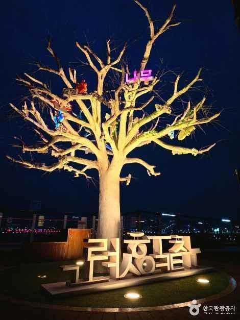 세종시 금강보행교 소개와 방문 정보 | 세종시 금강보행교(이응다리) 소개와 방문 정보 4