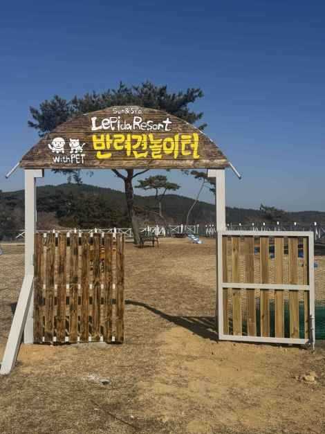 충남 태안 레피다리조트 소개 및 예약 정보 4