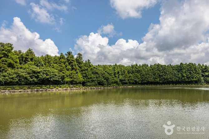 제주 새미은총의동산: 성지 순례와 힐링 공간 안내 5