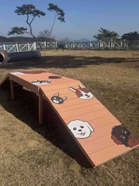 충남 태안 레피다리조트 소개 및 예약 정보 5