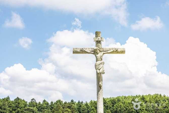 제주 새미은총의동산: 성지 순례와 힐링 공간 안내 6