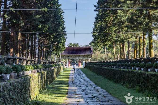 Experience Korea's Buddhist Heritage at - image 6