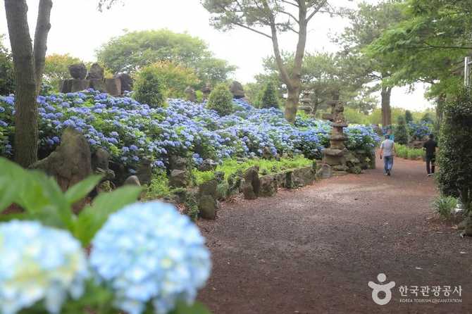 제주동화마을 관광명소 및 체험 정보 가이드 6