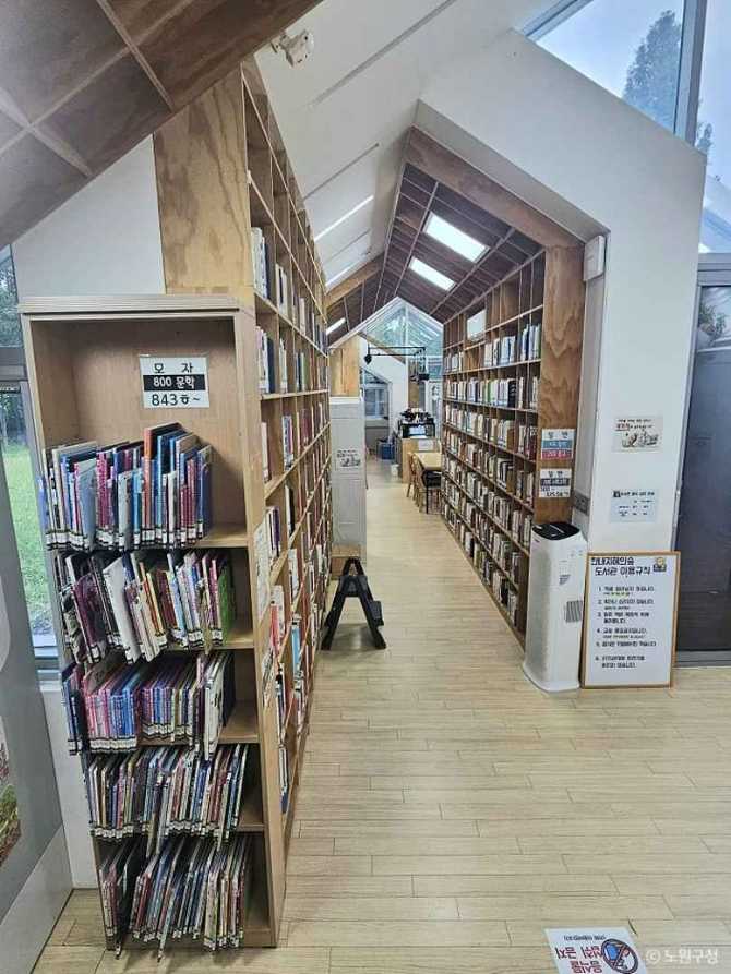 Discover Hannae Wisdom Forest Library - image 1