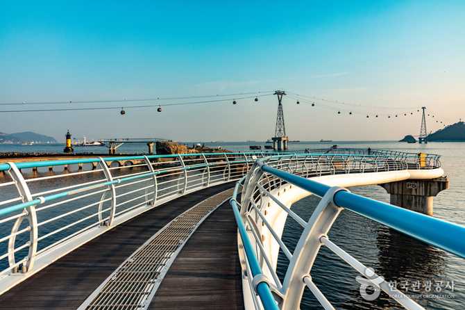 Discover Busan's Cloud Walkway - image 6