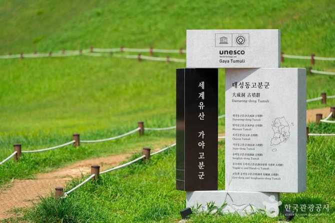 김해 대성동 고분군: 가야 문화의 유산과 역사적 가치 7