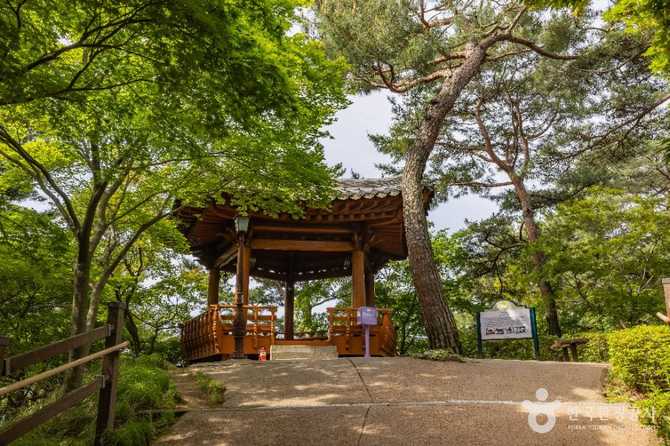 청남대: 대한민국 대통령 별장과 자연생태를 동시에 즐기기 9
