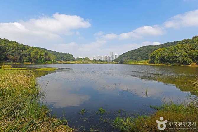 경기도 화성시 장지저수지 자연환경과 방문 정보 2