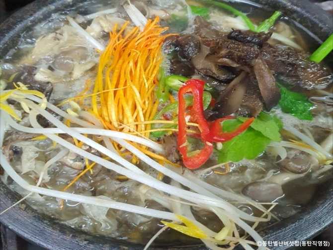 Discover the Best Mushroom Restaurant - image 3