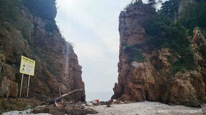 Discover the Natural Beauty of - image 1