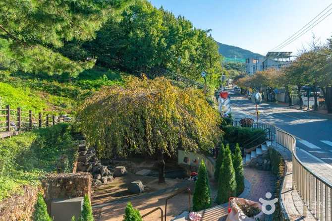 Discover Daegu's Ppalsseot Golmok Park - image 3