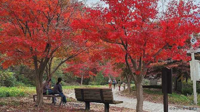 대둔산도립공원 자연경관과 산행 정보 | 대둔산도립공원(논산) 자연경관과 산행 정보 2