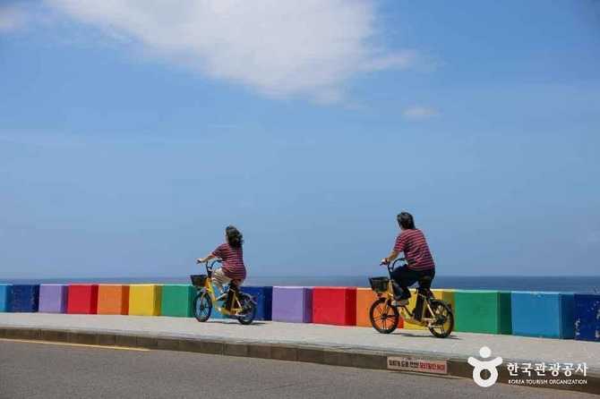 Discover Jeju Rainbow Coast Road - image 8