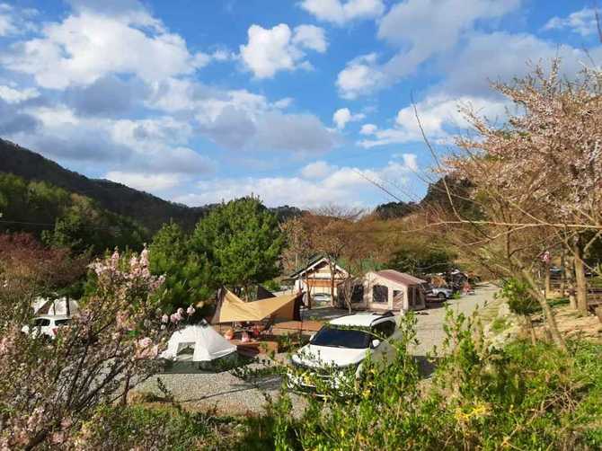 Inje Yeongari Auto Campsite - image 2