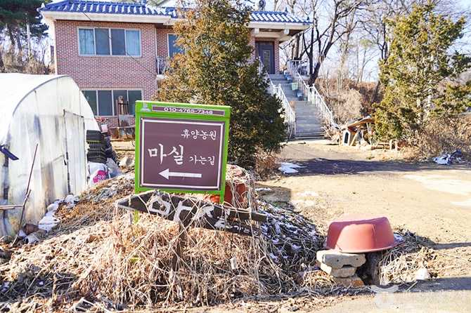 화성시 휴양농원 추천, 자연과 체험이 가득한 마실 휴양농원 안내 2
