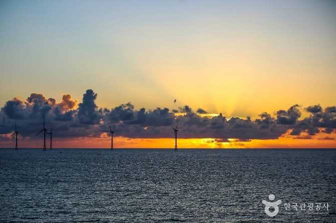 제주도 애월곽금올레길, 한담해안산책로의 매력과 정보 2