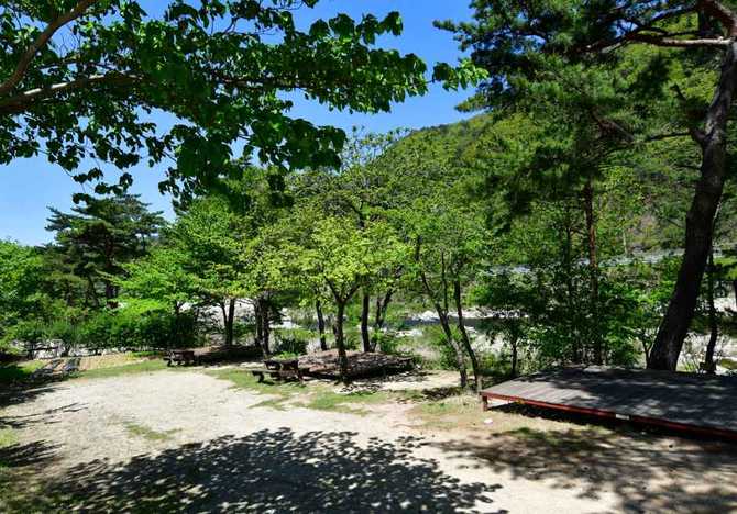 설악산 인근 솔방울 펜션캠핑장 안내 및 예약 정보 2