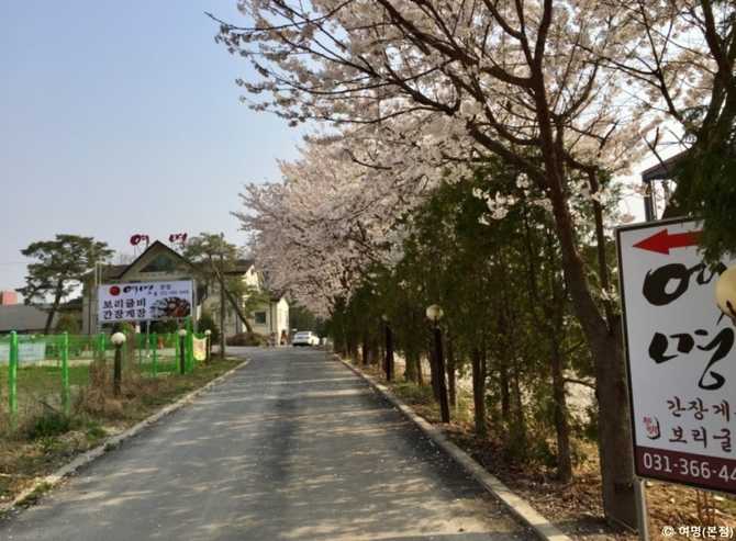 수원 근처 맛집 여명 본점, 신선한 게장과 한적한 호수 산책까지 2