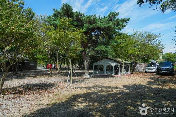 Marine Auto Camping Site in - image 2