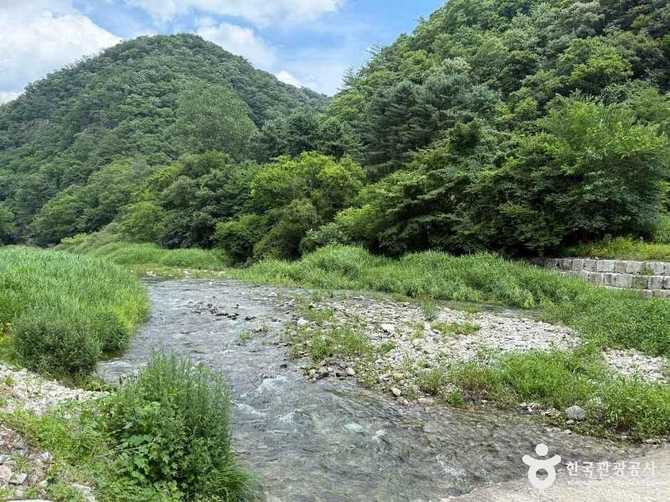 강원도 횡성 어답산관광지 가이드: 자연경관과 체험활동 모두 즐기기 4
