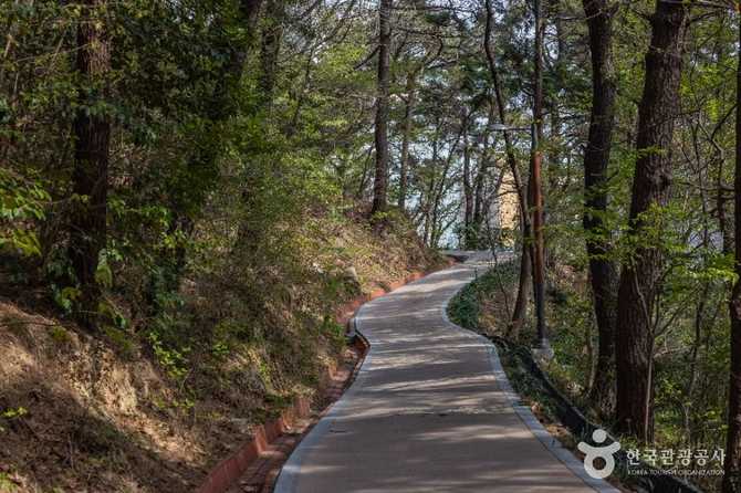 부산 에덴공원: 자연과 역사를 함께 즐기는 최고의 휴양지 3