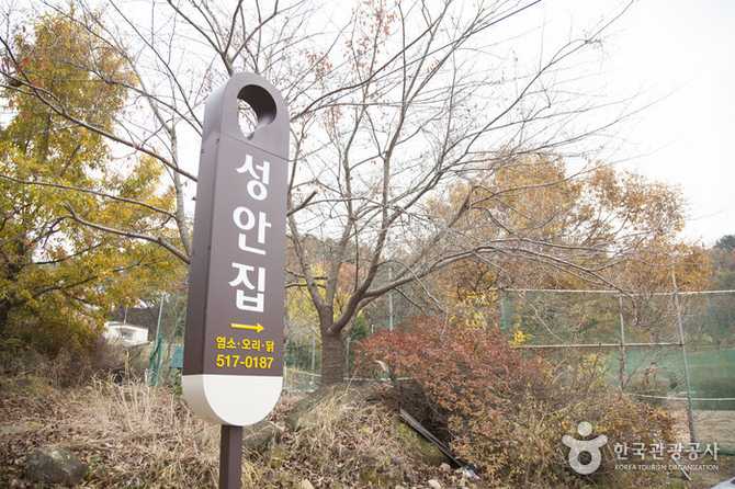 부산 금정구 성안집 맛집 가이드: 보양음식과 가족 친화 공간 2