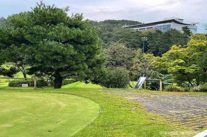 Discover the Best Golf Experience - image 1