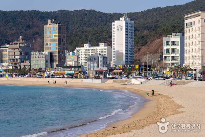 부산 해운대 해파랑길 2코스 가이드: 숲길과 해안 걷기 추천 코스 2