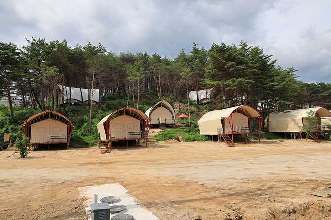 속초 밤하늘 글램핑: 숲속 캠핑과 감성 조명으로 힐링 2